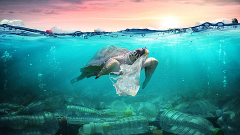 1. End plastic pollution